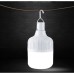 DP LIGHT DC/USB RECHARGEABLE BULB 40W